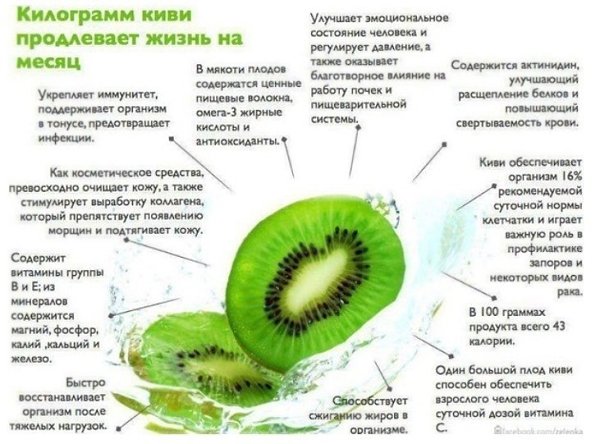Постарайтесь есть киви чаще.Ведь он максимально положительно влияет на организм