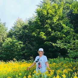 �������, �����-���������, 55 ���