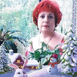 ���� ������, �������, 74 ���� - ��������� 17 ��� 2023