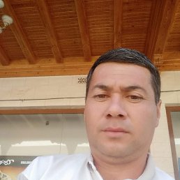 ���� �����, ������, 48 ��� - ��������� 8 ���� 2023