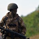 ���� �������, �����, 43 ���� - ��������� 10 ������� 2023 � ������ ���� ����������