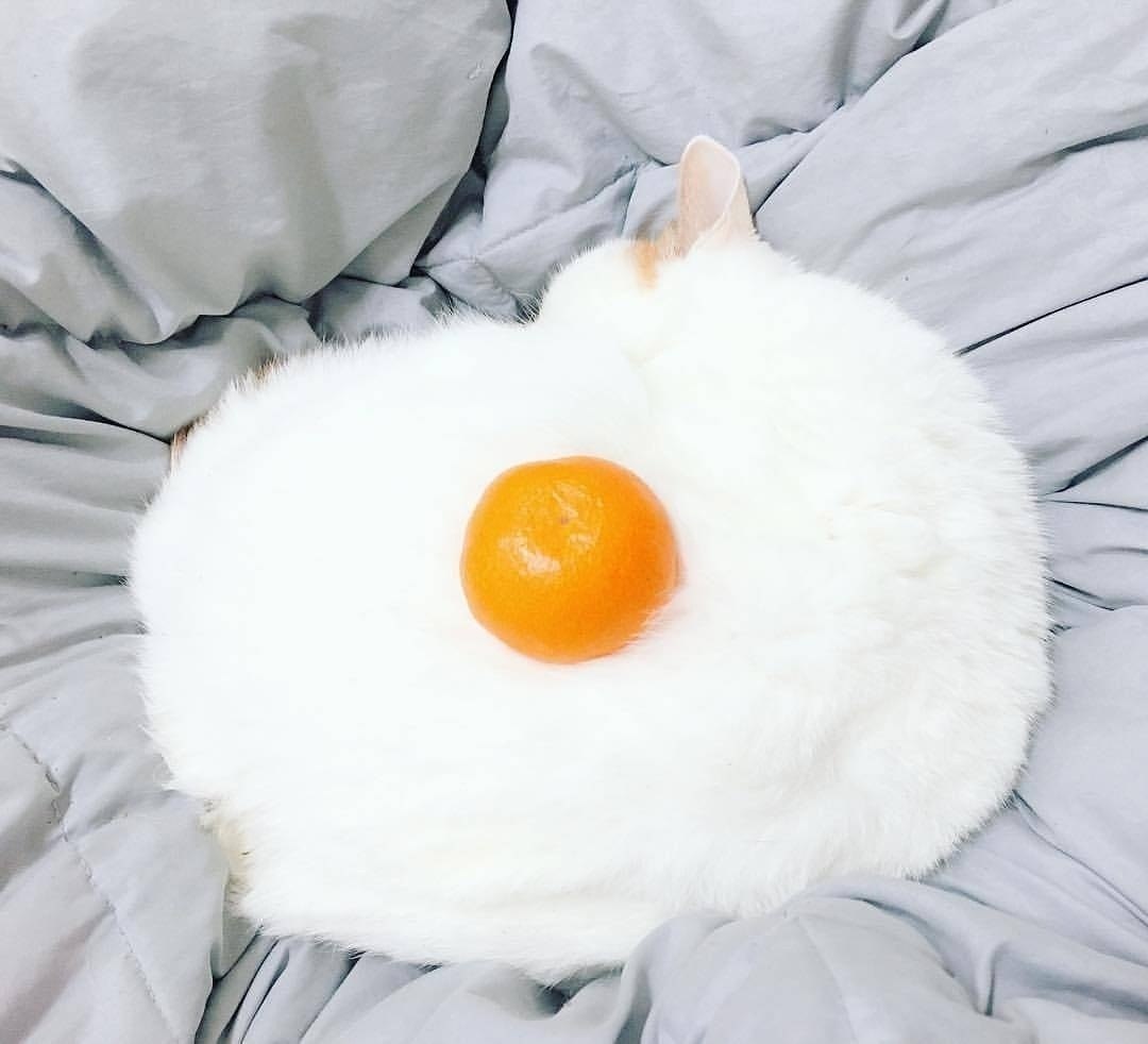   :   )))