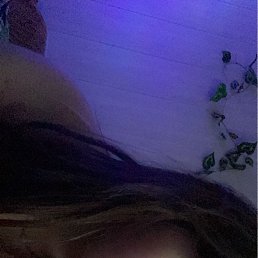 ���� �����, ���������, 23 ���� - ��������� 16 ������ 2023