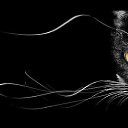 ���� �����, ���������, 46 ��� - ��������� 8 �������� 2023 � ������ ���� ����������