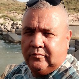 �����, �������, 54 ����