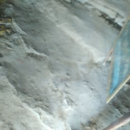 Harut, ������, 38 ���