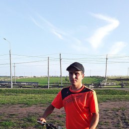 �����, ������, 36 ���