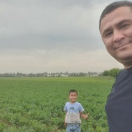 Ozod, �������, 41 ���