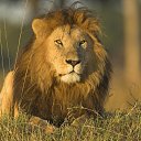 ���� Aleksandr, �������, 39 ��� - ��������� 19 ������� 2023 � ������ ���� ����������