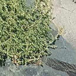 Igor13sv, �����, 64 ����