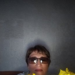 , 62, 