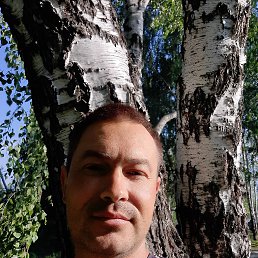 ���� ������, ������, 40 ��� - ��������� 28 ������� 2023