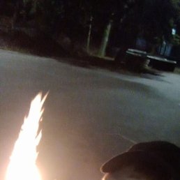 ����, �������, 36 ���