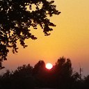 ���� ���������, �����, 54 ���� - ��������� 10 ���� 2023 � ������ ���� ����������