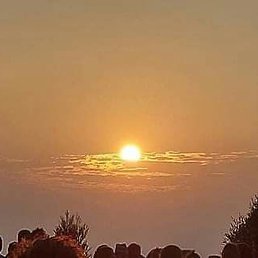 Sexy Boy, �����������, 32 ����