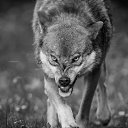 ���� ��������, ������, 45 ��� - ��������� 15 ������ 2023 � ������ ���� ����������