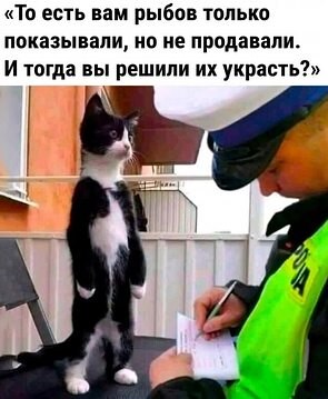   - 10  2023  10:10