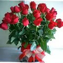 ���� �������, �������, 33 ���� - ��������� 1 ���� 2023