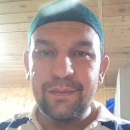 ������, ������, 40 ���