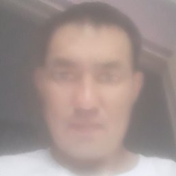 ������, ������, 39 ���