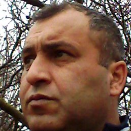 Mansur, �����������, 46 ���