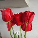 ���� �������, ������� - ��������� 1 ��� 2023 � ������ ���� ����������