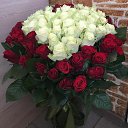 ���� ����, �����-���������, 42 ���� - ��������� 14 ������� 2023 � ������ ���� ����������