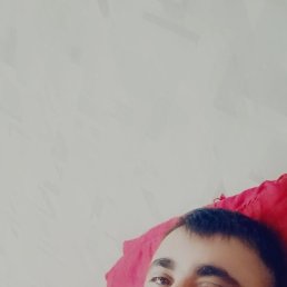 ������, ������, 36 ���