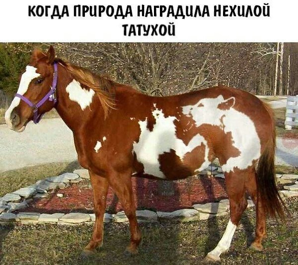    - 2  2023  01:37