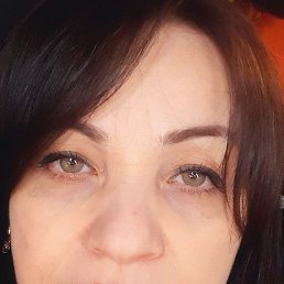 �����, �������, 54 ����