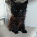 ���� ����� ����������, ������, 39 ��� - ��������� 14 ��� 2023 � ������ ���� ����������