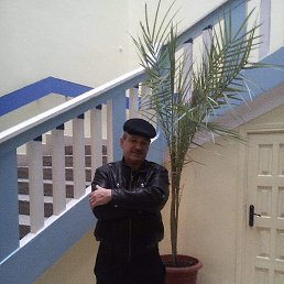 ����, ����, 66 ���