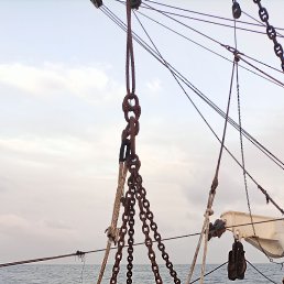 ���� Pape, �����, 37 ��� - ��������� 1 �������� 2023