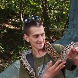 �������, �������, 35 ���