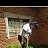 ���� Ireen, �����������, 45 ��� - ��������� 5 ������� 2023