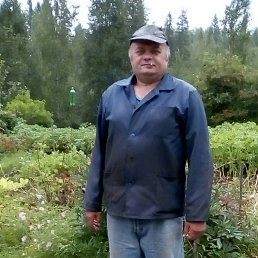 ������, �����-���������, 62 ����