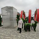 ���� �������, ������-��-����, 63 ���� - ��������� 5 ����� 2023