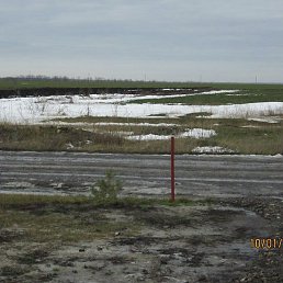 ������, �����������, 65 ���