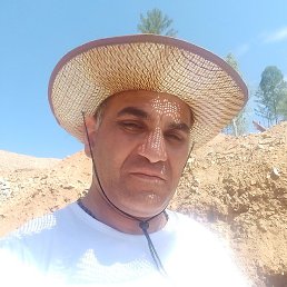 �����, ���������, 46 ���