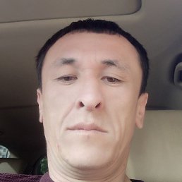 �����, �����, 43 ����