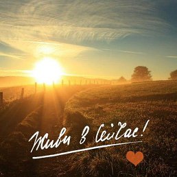 S., �����-���������, 42 ����
