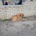 ���� ������, ������, 37 ��� - ��������� 15 ������ 2023