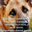 ���� Serb, ��������� - ��������� 14 ������ 2023 � ������ ������ ��������