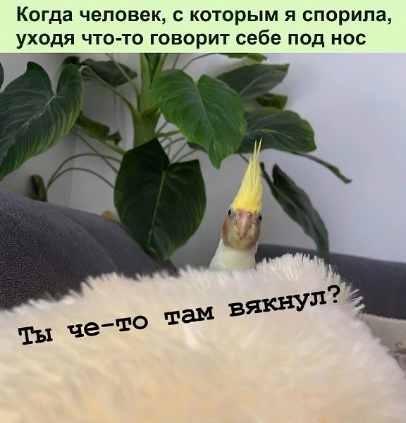 Когда у кого-то внутренний монолог вырывается наружу