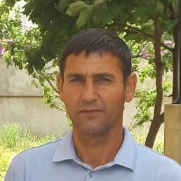 ������, ������, 48 ���