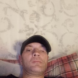 ���� �����, ���������, 44 ���� - ��������� 3 ����� 2023