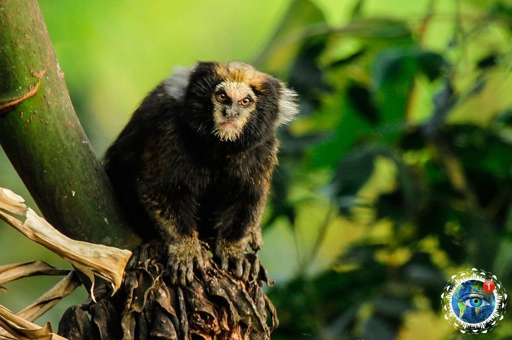 coa https://fotostrana.ru/away?to=/sl/iCA3 eca aaecoo oepe a o-ocoe pa.  ce po  ...