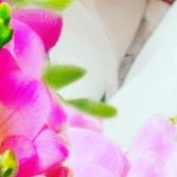 �����, ���������, 45 ���