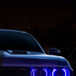 ����, ������, 35 ���