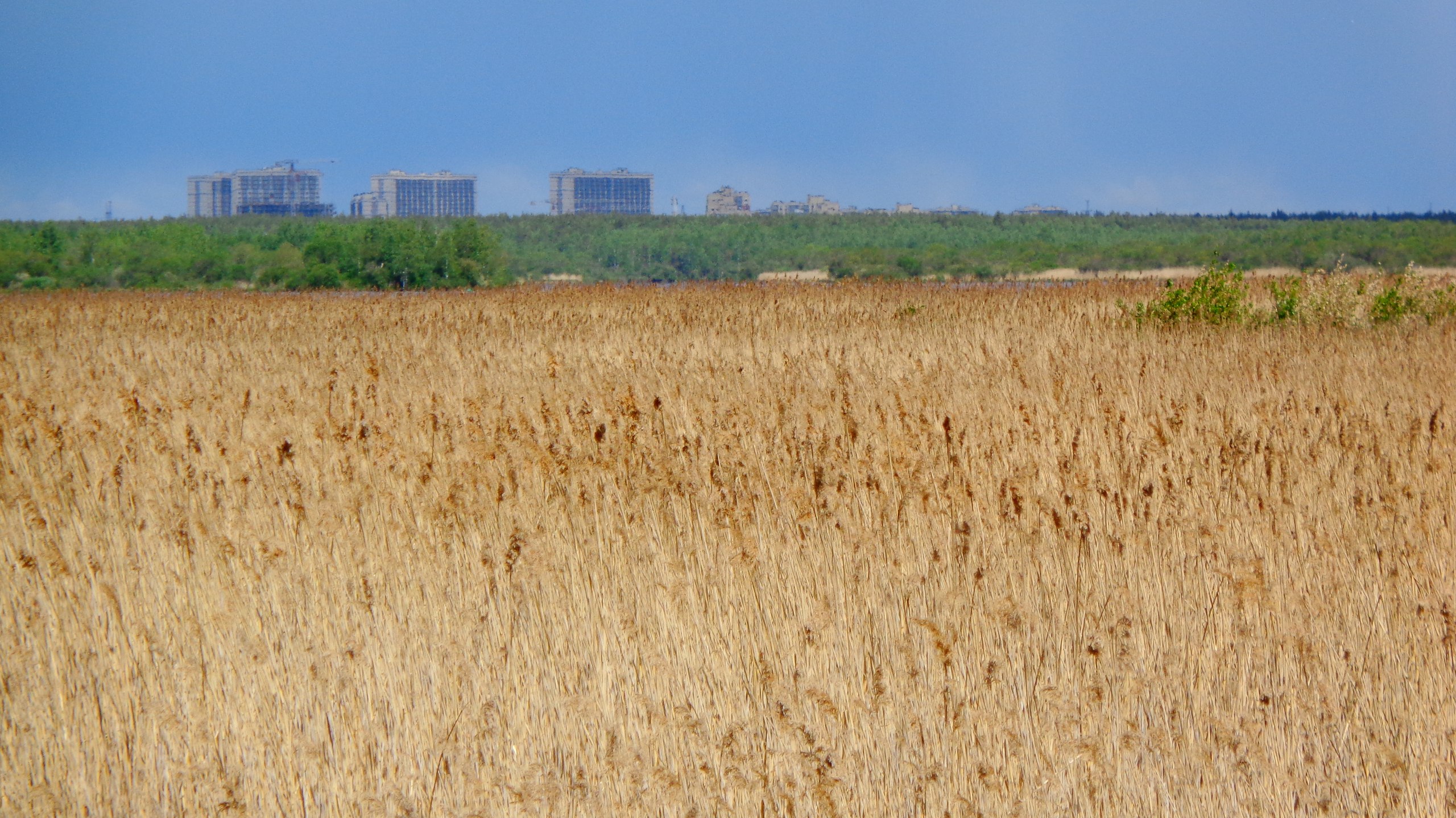   - 27  2023  15:55 - 10